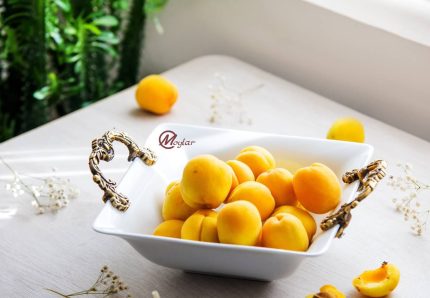 میوه خوری دسته دار چینی moylar کد 106